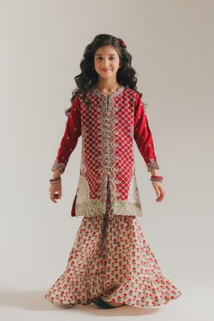 EMBROIDERED SUIT (E0253/415/301)