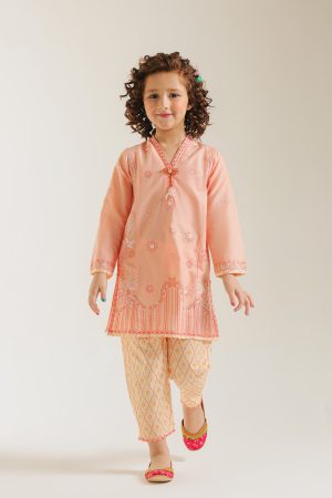 EMBROIDERED SUIT (E1228/402/326)